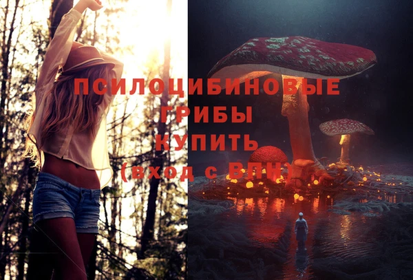 крисы Михайловка