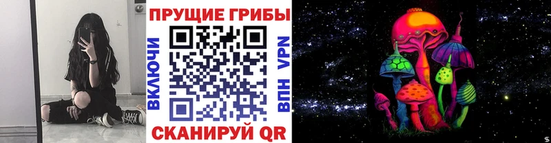 цены наркотик  Кириши  Галлюциногенные грибы Cubensis 