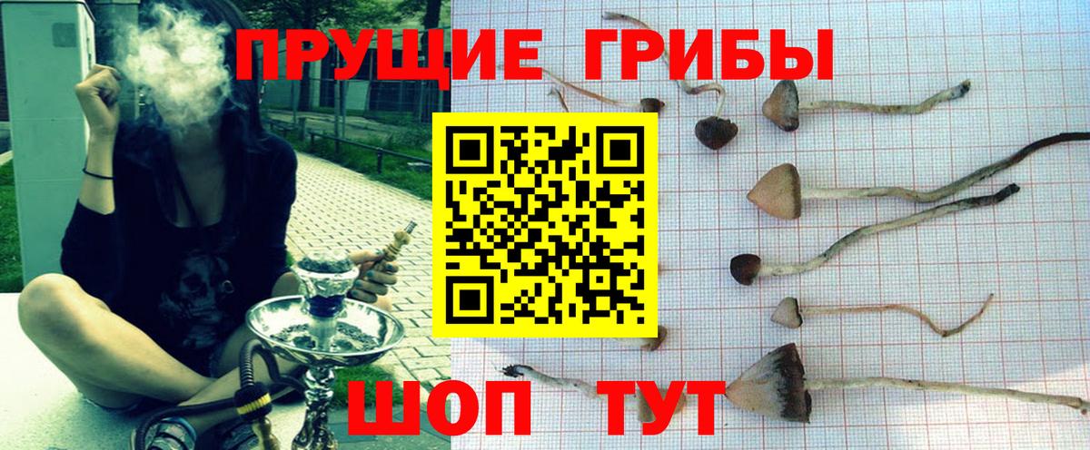 Псилоцибиновые грибы мухоморы  Псилоцибиновые грибы GOLDEN TEACHER  где можно купить наркотик  Кириши 