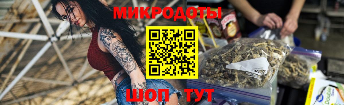 Кириши  Галлюциногенные грибы прущие грибы  Вход с VPN  Псилоцибиновые грибы мицелий 