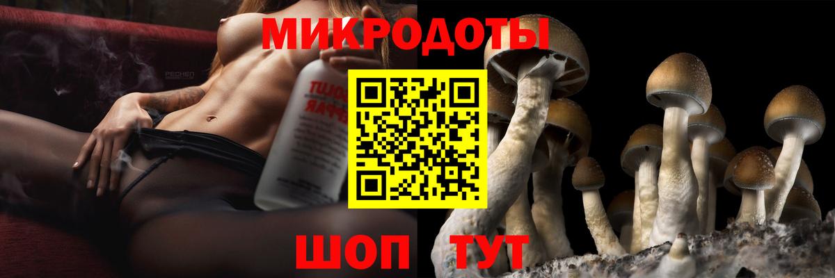 Галлюциногенные грибы Magic Shrooms Кириши