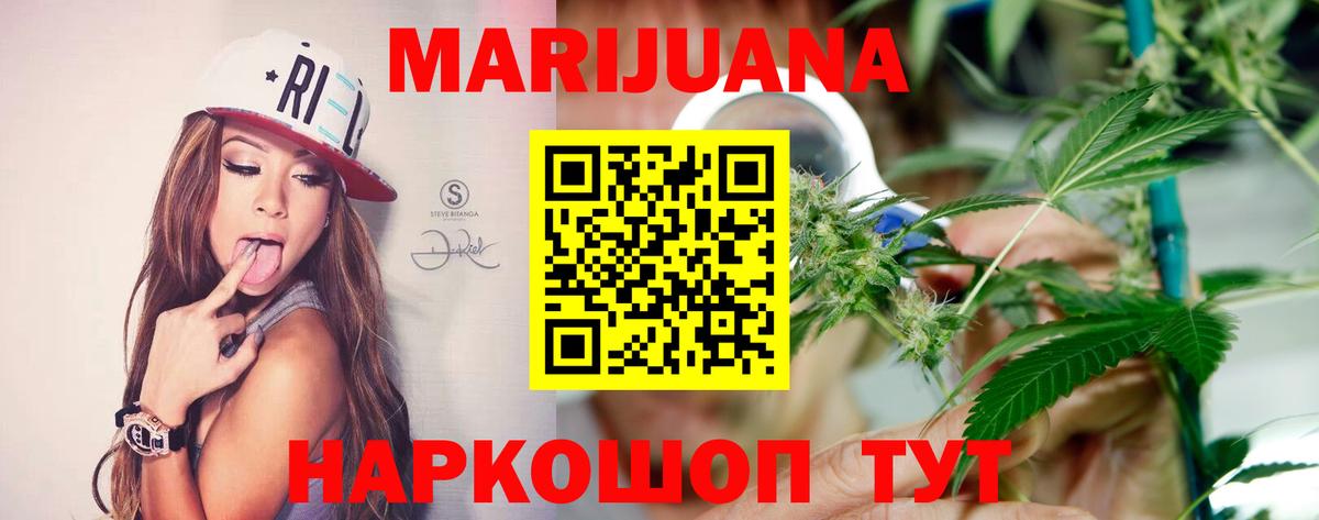 Бошки Шишки план Кириши